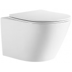 Richford R320WH 掛牆式座廁